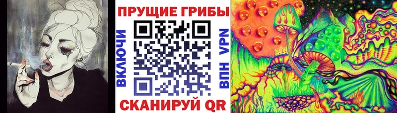Галлюциногенные грибы мицелий  Гатчина 