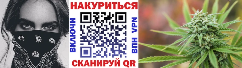 где найти наркотики  Гатчина  МАРИХУАНА LSD WEED 